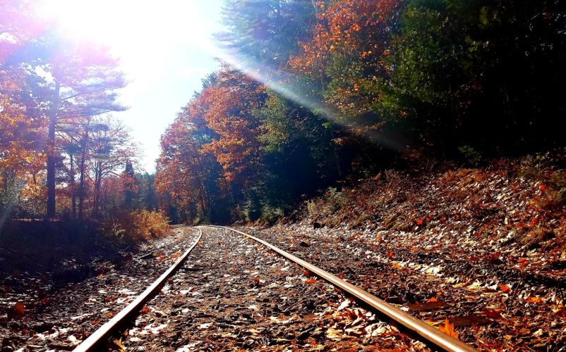 Reader Pics: Nov. 13