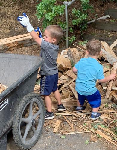 Reader Pics: Sept. 6