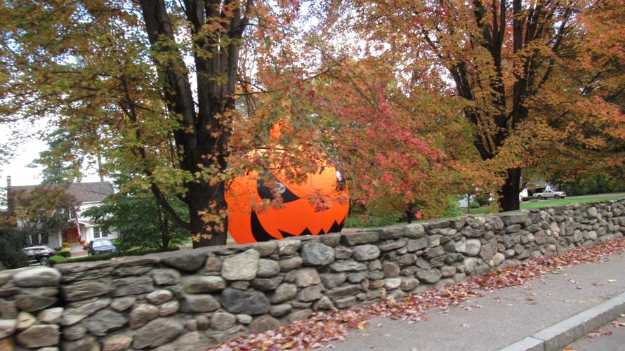 Reader Pics: Oct. 29