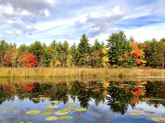 Reader Pics: Oct. 15