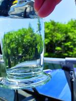 What’s that in the water? A quick guide for lake users