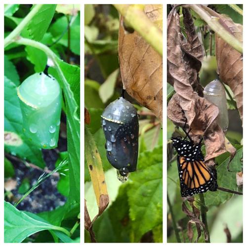 Reader Pics: Sept. 15