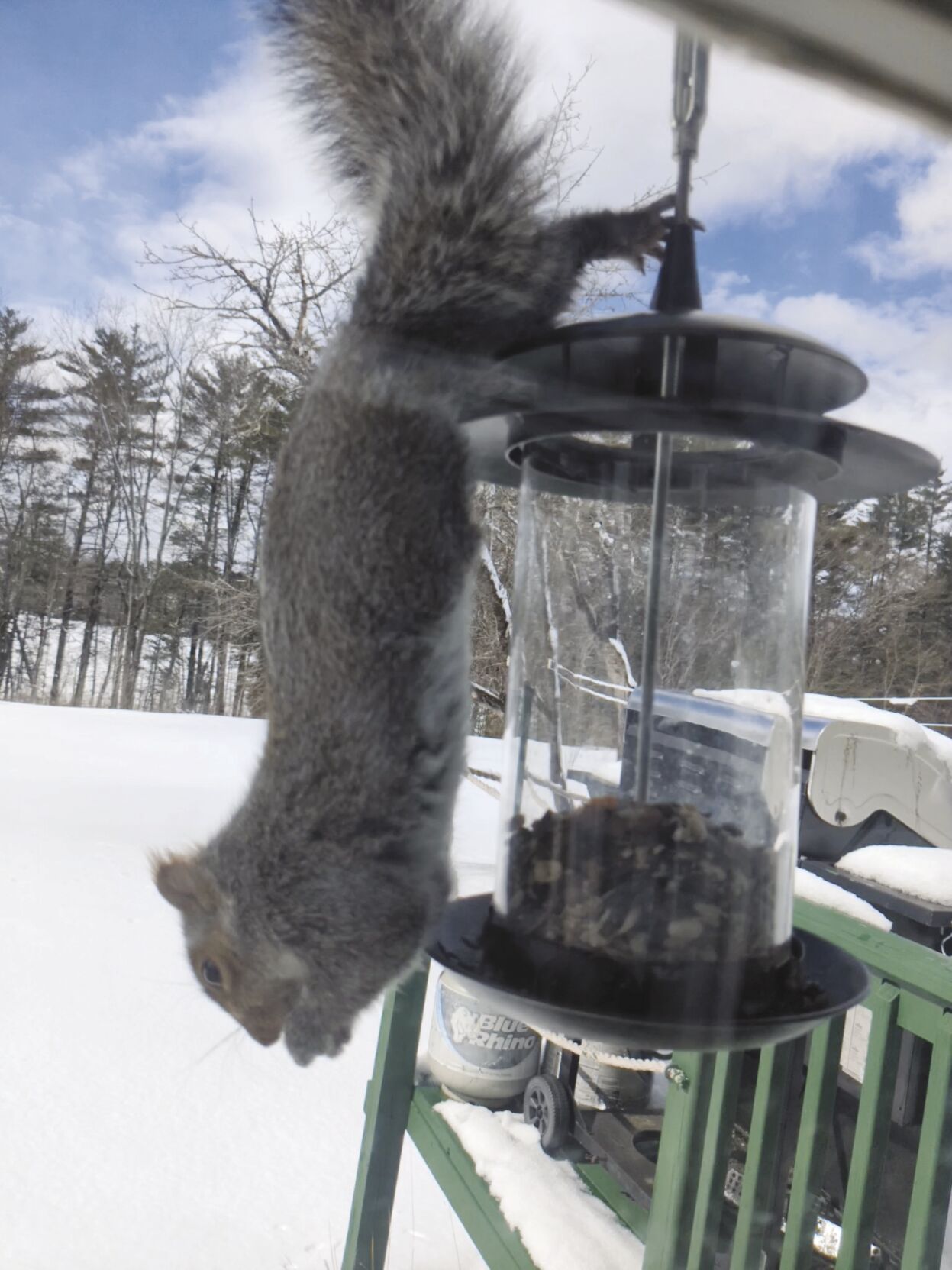 Reader Pics: March 23