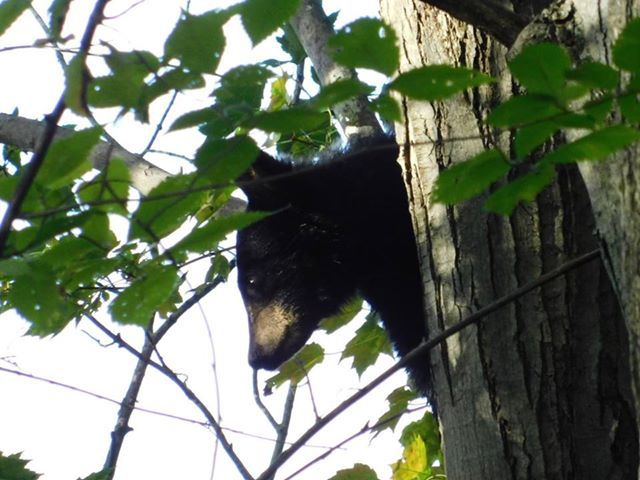 Reader Pics: Oct. 23