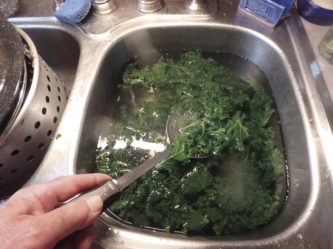 Blanching kale is worth the work.
