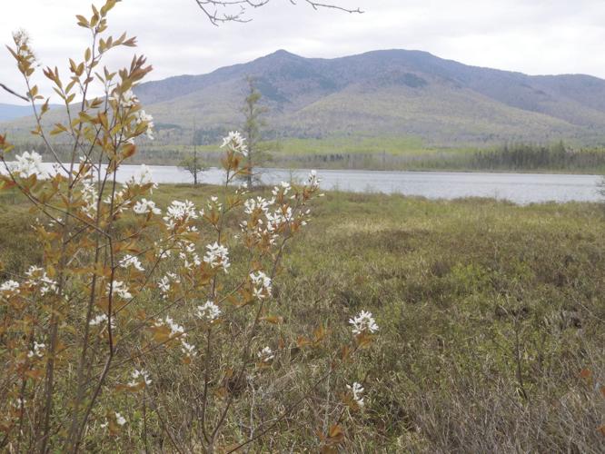 05-31 OUTDOOR DSCN3802.jpg