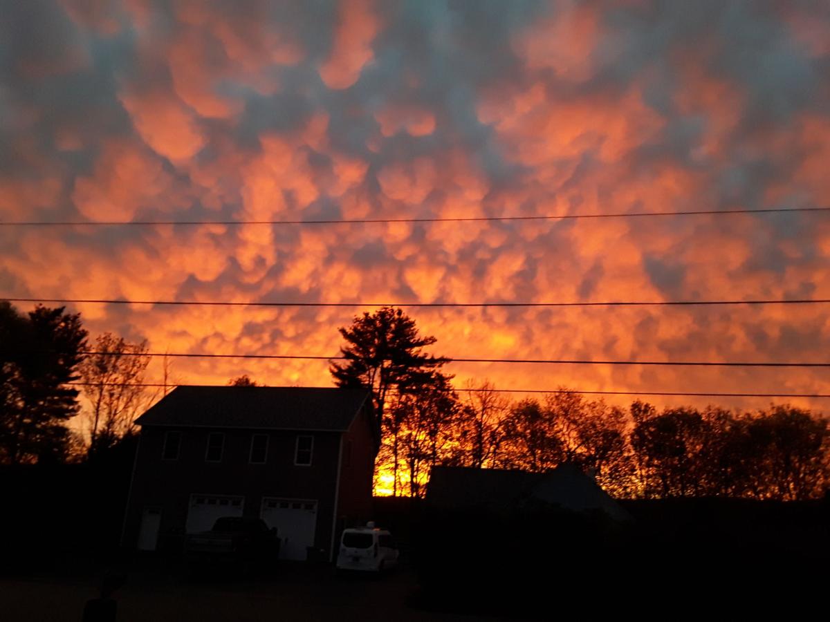 Reader Pics: May 13