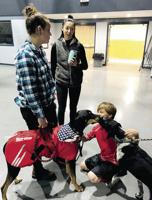 Middle school students learn about dog sledding from local experts