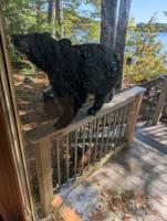 READER pics, reader-submitted shots of people, places, events, and scenery from around the Lakes Region