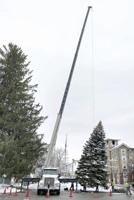 Floats and dancing elves to lead Sunday parade