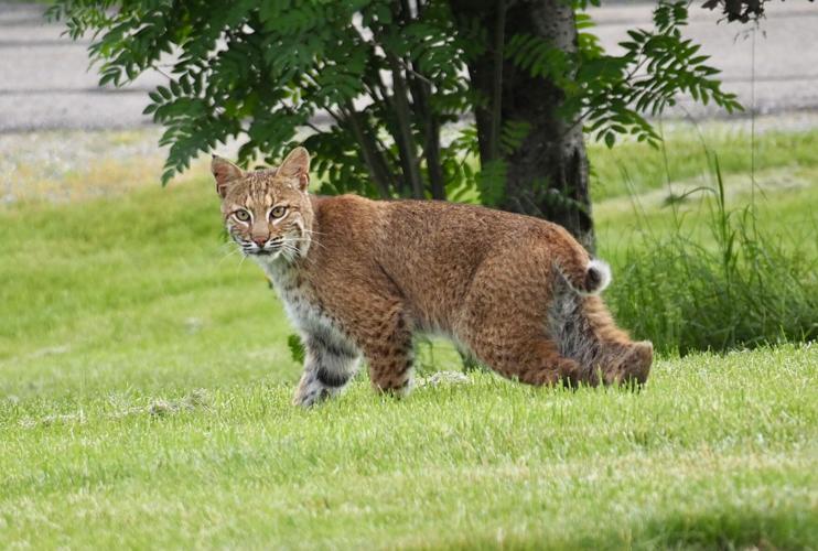 Reader Pics: June 16