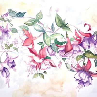 Fuchsia Cascade Watercolor workshop with Stephanie McQuade