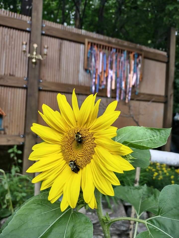 Reader Pics: Aug. 4