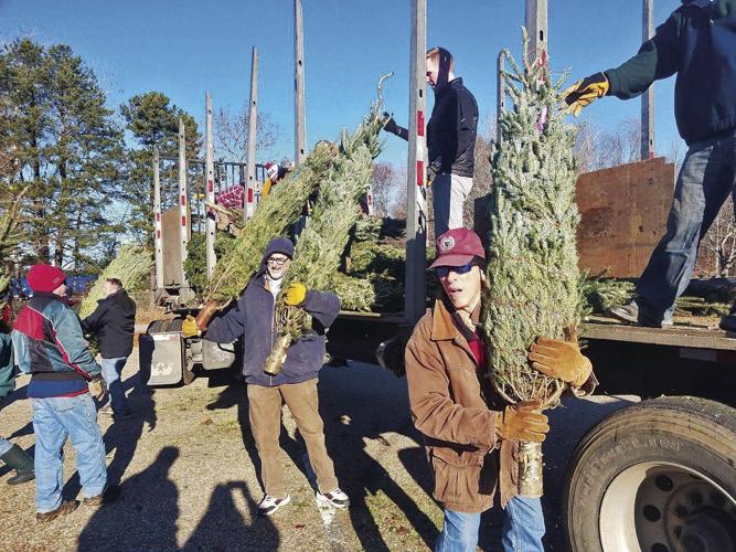 Unloading trees