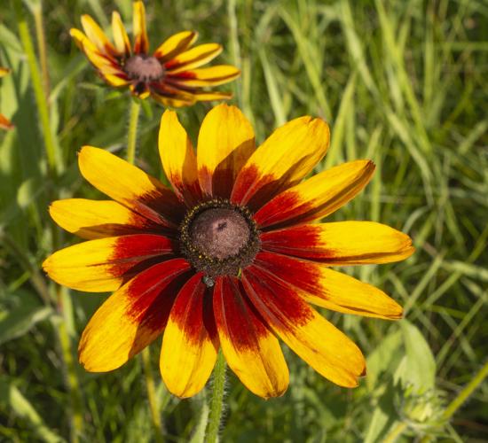 Reader Pics: July 22