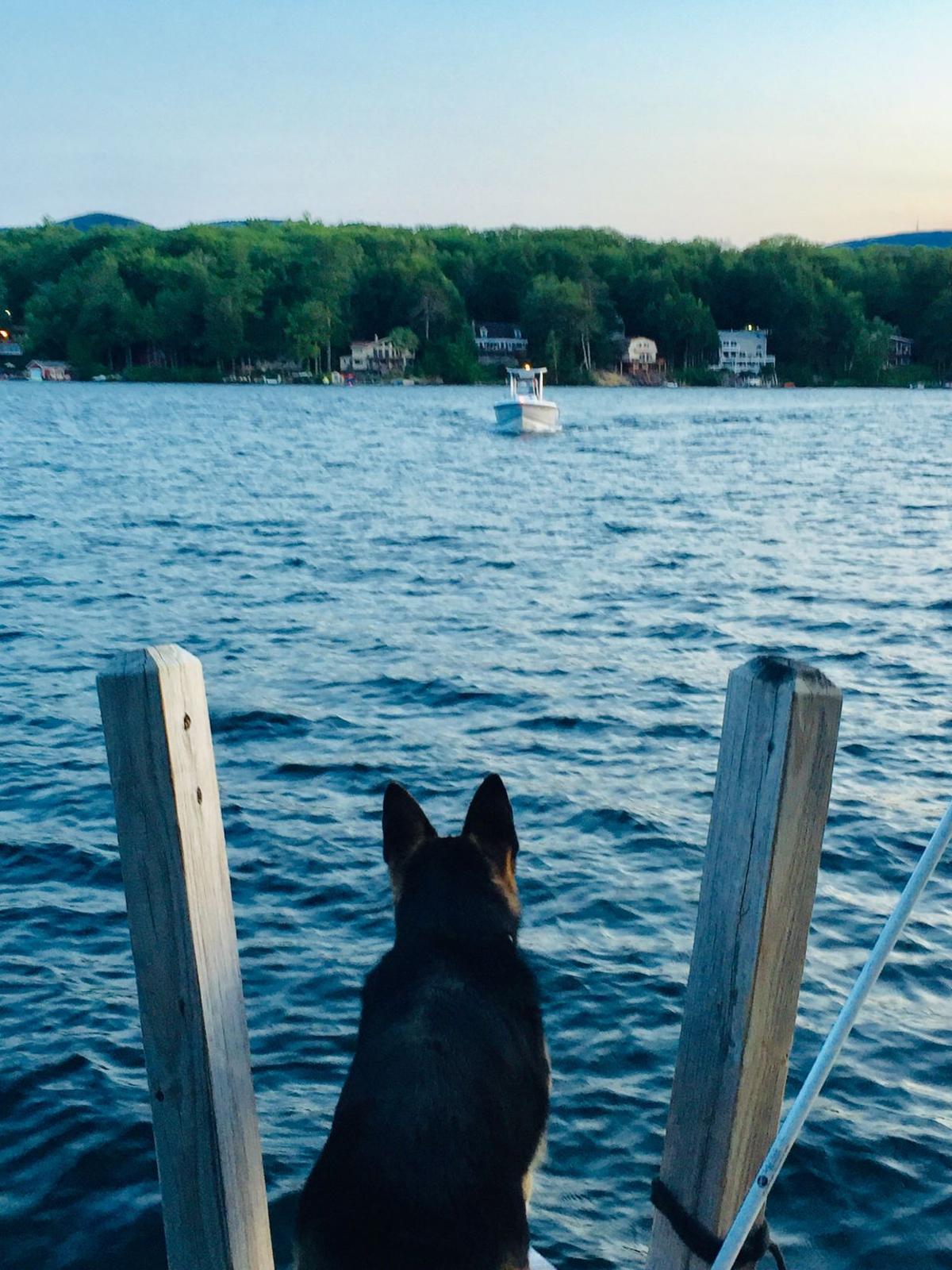 Reader Pics: July 20