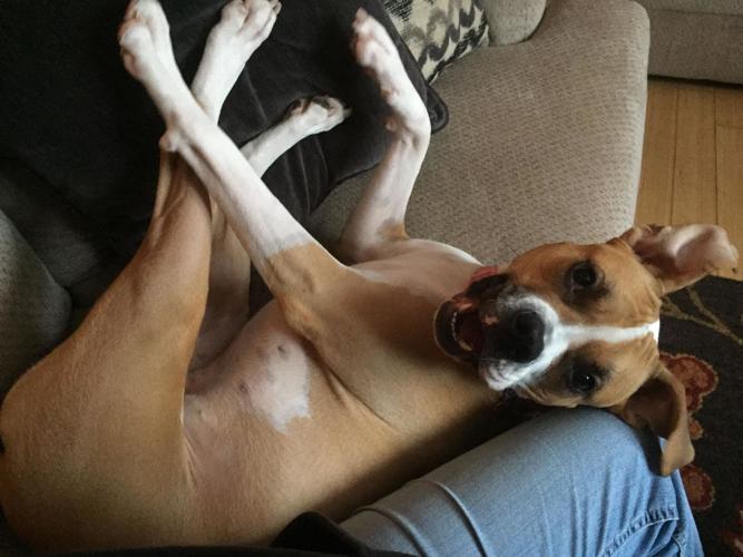 Reader Pics: Jan. 26