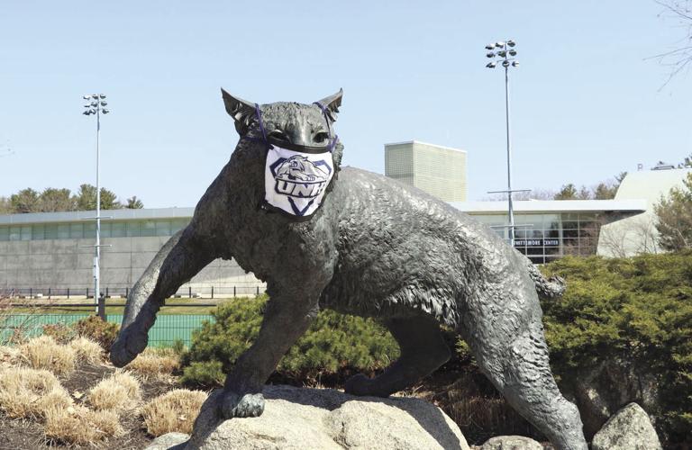 UNH Wildcat