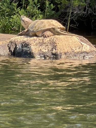 Reader Pics: July 5