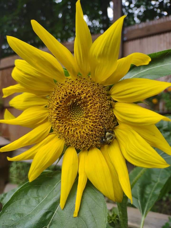 Reader Pics: Aug. 4