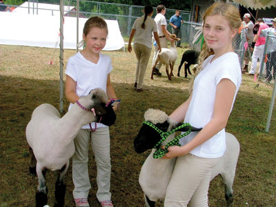 74th annual Belknap County 4-H Fair stays true to its roots