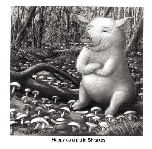 11-01 Pig cartoon