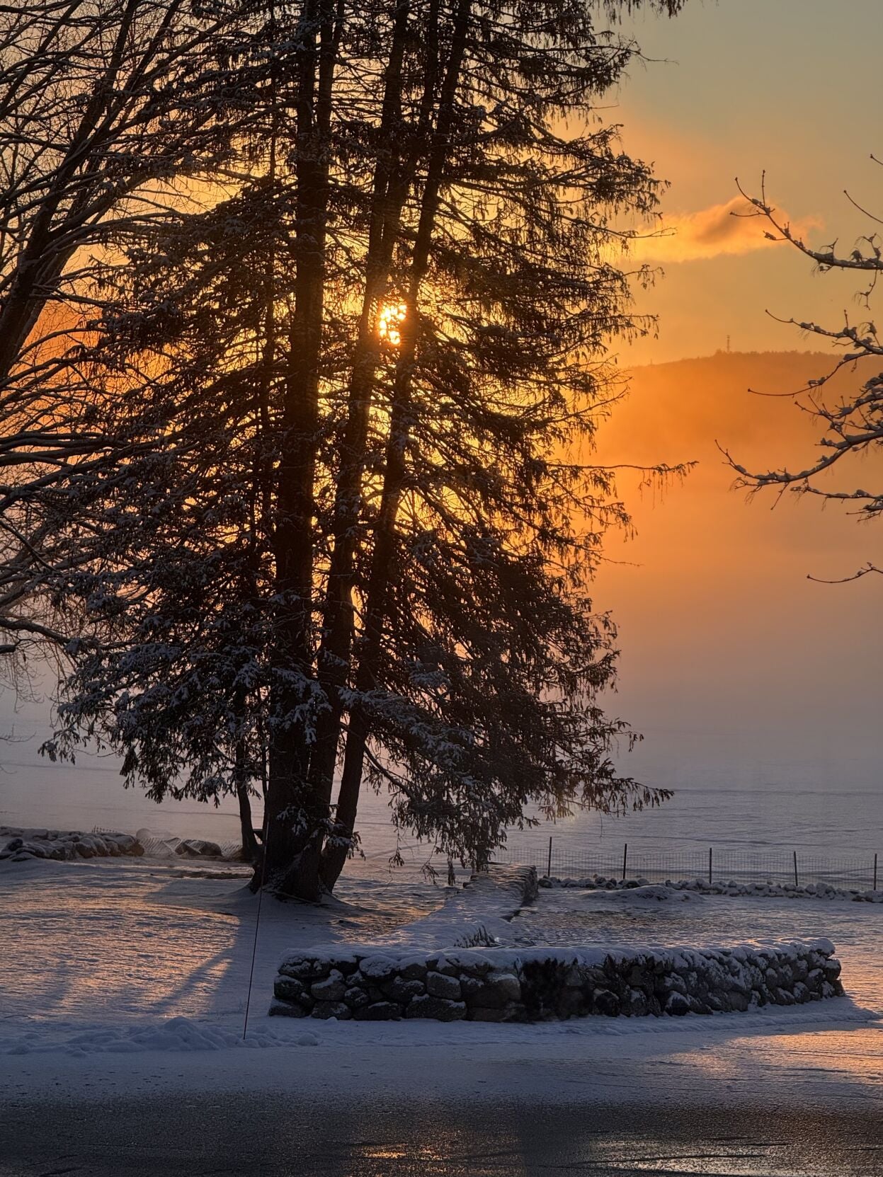 Reader Pics: April 1