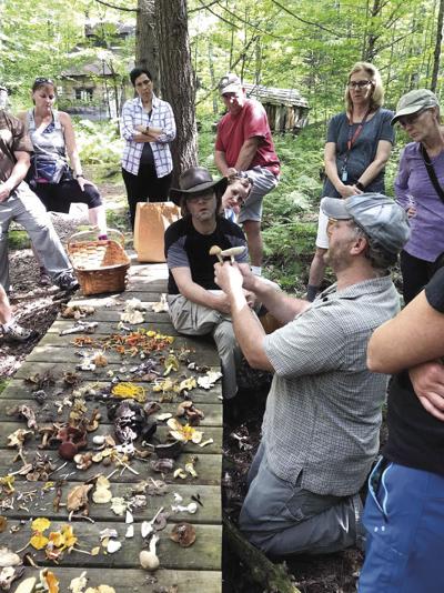 Wild Mushroom Walk Series Returns To Prescott Farm Outdoors Laconiadailysun Com Wild mushroom item level 1 binds when picked up unique (5). laconia daily sun