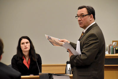 Raid of Great Dane home described
