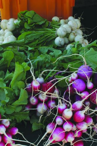 Radishes
