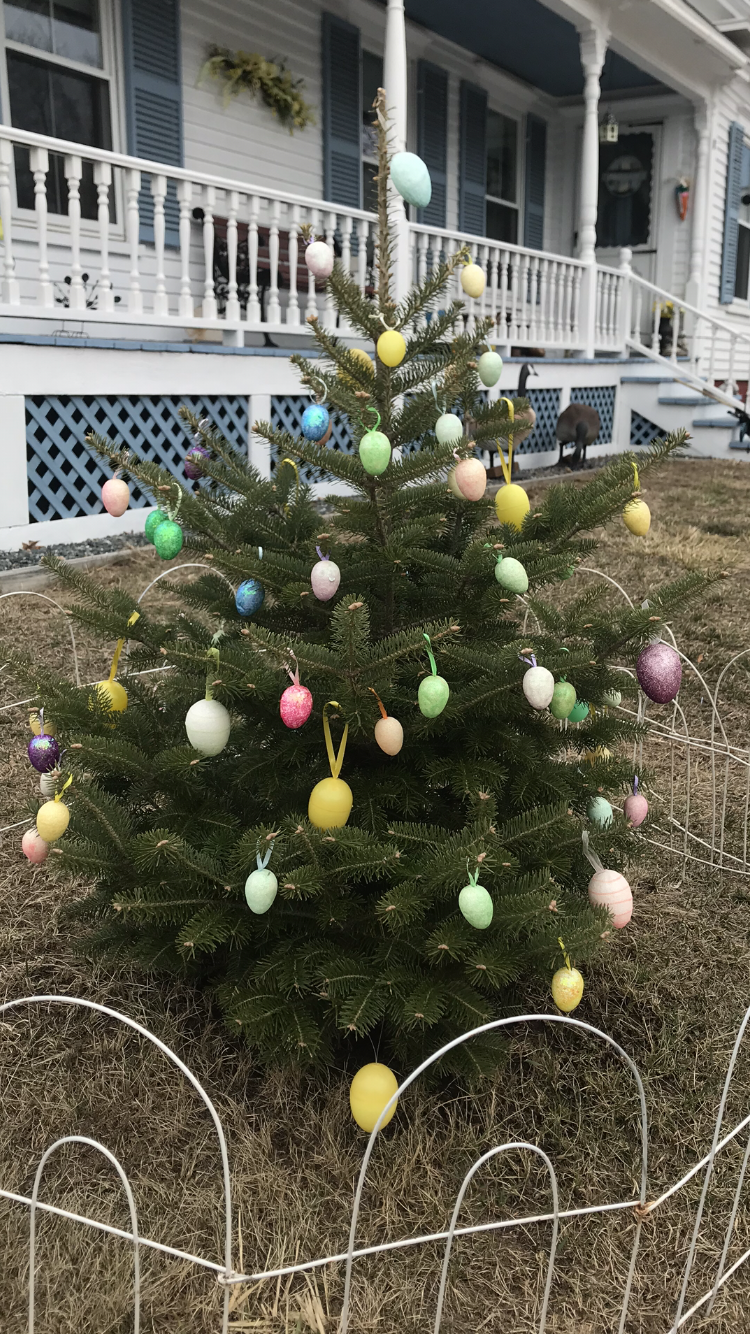 Reader Pics: March 27