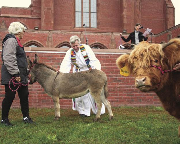 10-12 FARM photo bomb