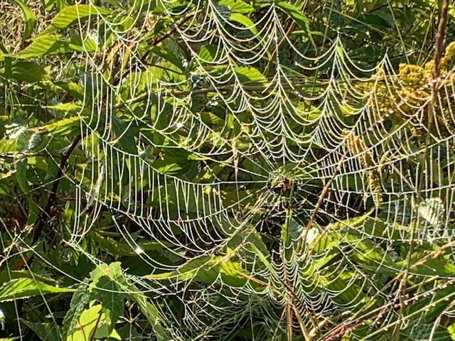 Reader Pics: Aug. 28