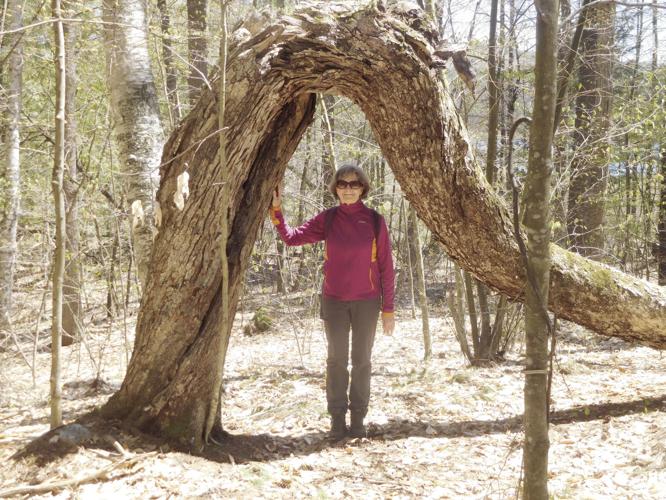 05-24 outdoor DSCN3785.jpg