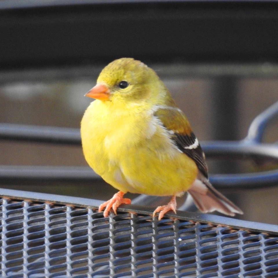 Reader Pics: May 6