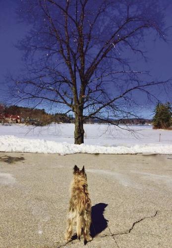 Reader Pics: March 28