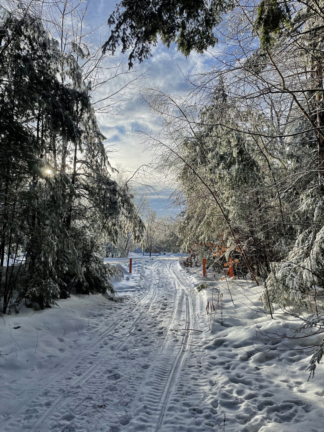 Reader Pics: Feb. 20