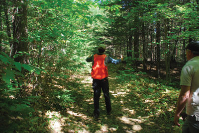 Saving the trees – Logging at Weeks Woods has some worried but officials say it’s good for the forest