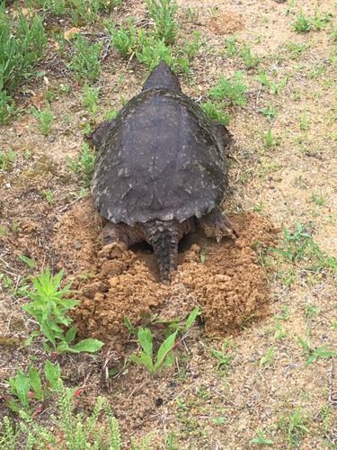 Reader Pics: June 27