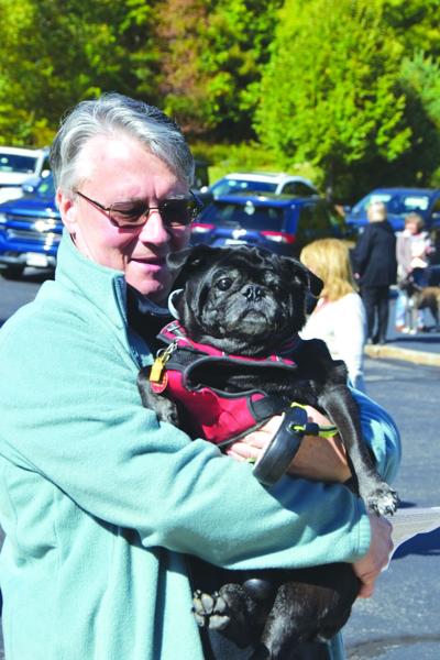blessing of the animals