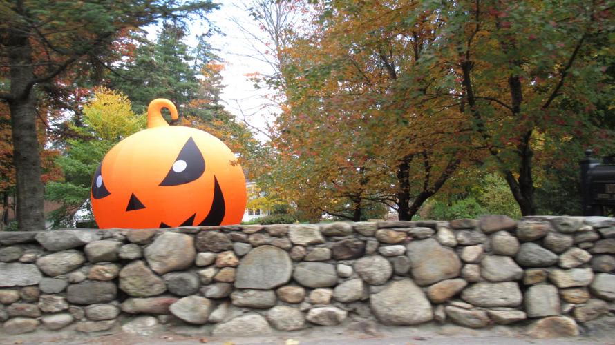 Reader Pics: Oct. 29