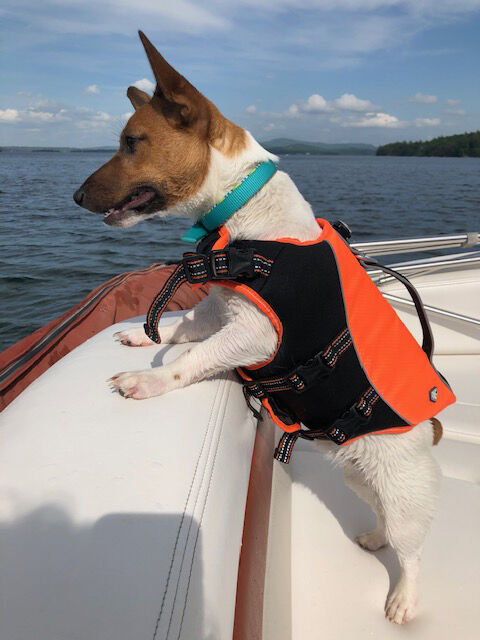 Reader Pics: June 7