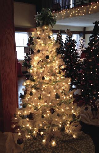 Festival of Trees applications now open