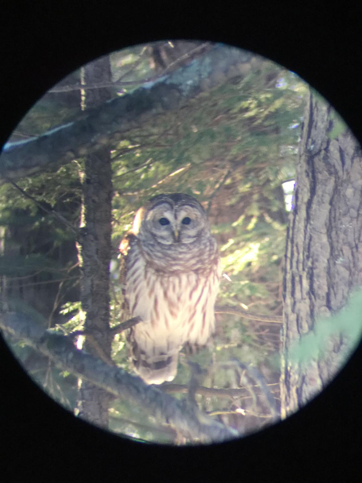 Reader Pics: Feb. 23
