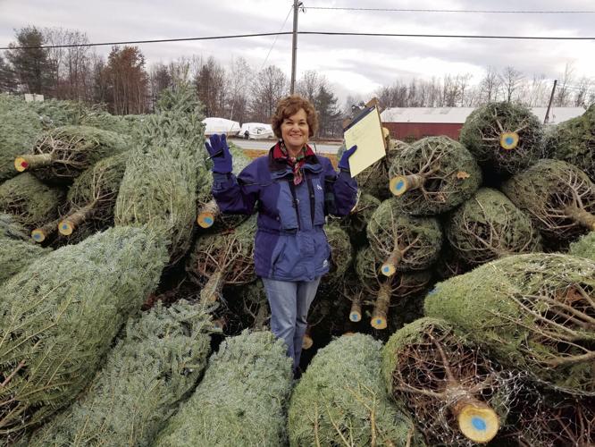 Tree sale