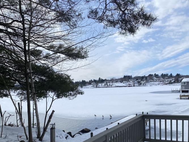 Reader Pics: March 16