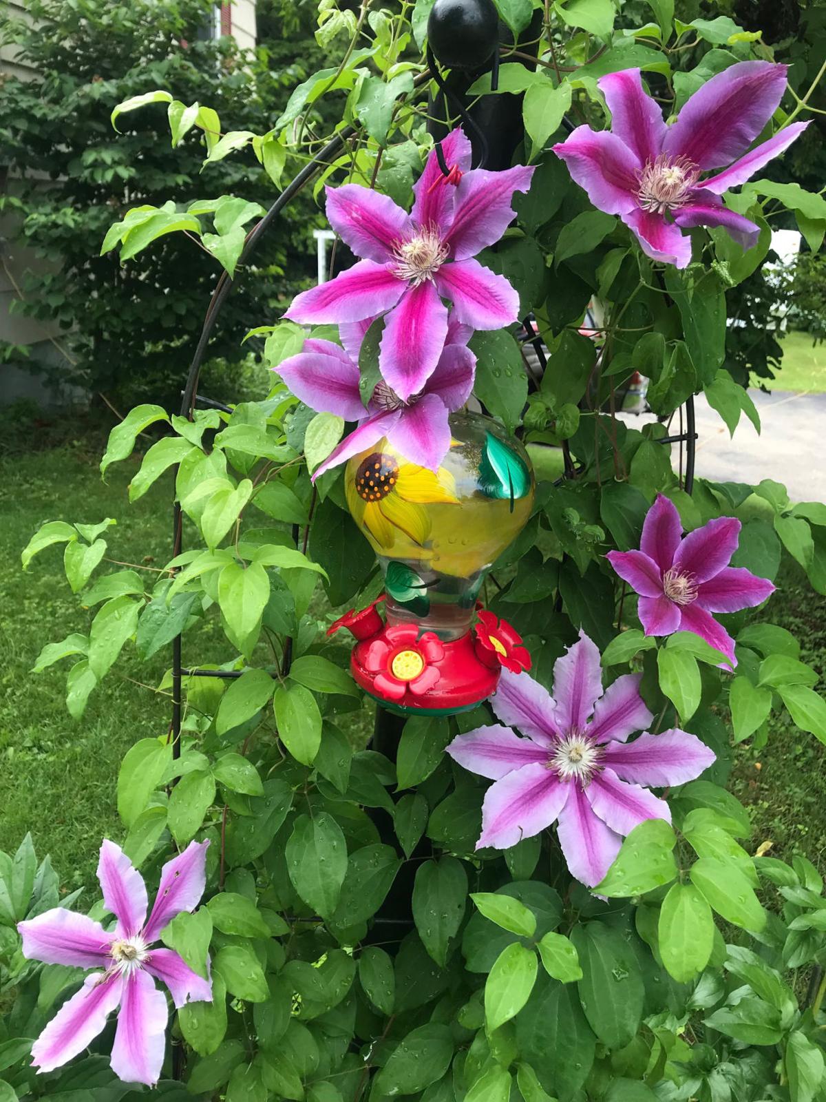Reader Pics: July 2