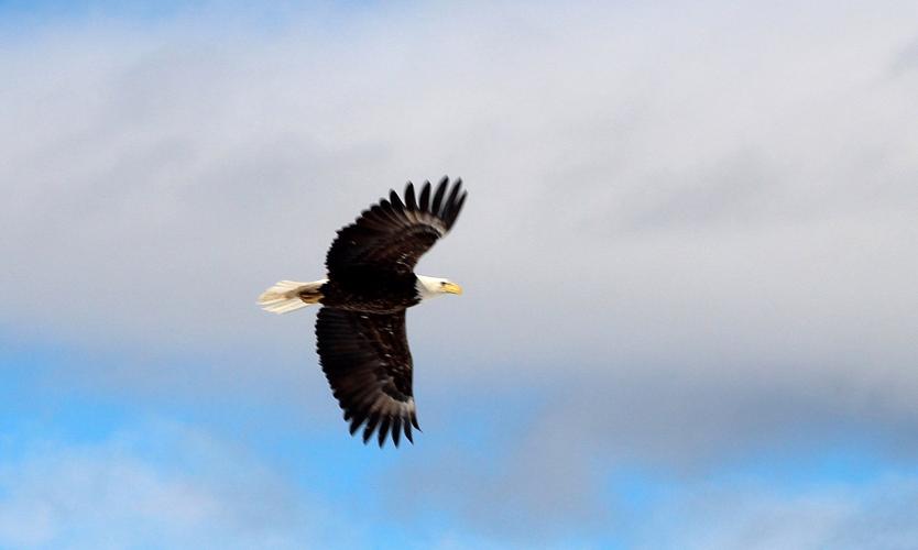 Reader Pics: April 13