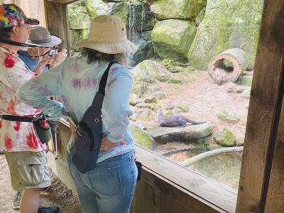 Squam Lakes Natural Science Center visitors