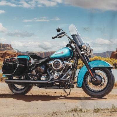 Wild Hog fundraiser motorcycle